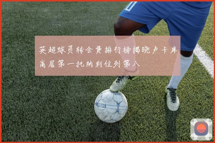 英超球员转会费排行榜揭晓卢卡库高居第一托纳利位列第八
