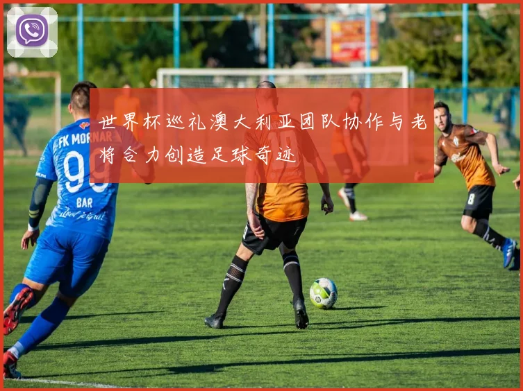 世界杯巡礼澳大利亚团队协作与老将合力创造足球奇迹